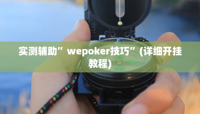 实测辅助”wepoker技巧”(详细开挂教程)