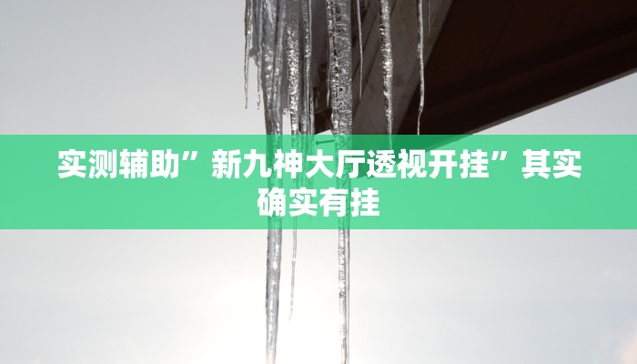 实测辅助”新九神大厅透视开挂”其实确实有挂