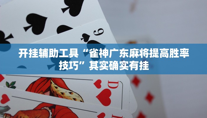 辅助神器“战皇大厅透视软件”其实确实有挂