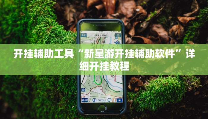 开挂辅助工具“新星游开挂辅助软件”详细开挂教程