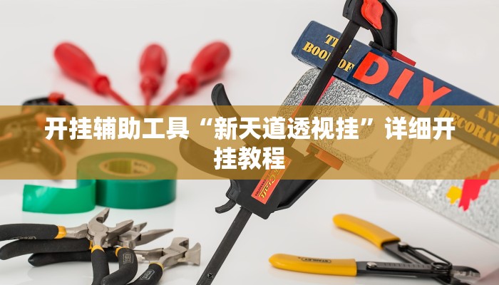 开挂辅助工具“新天道透视挂”详细开挂教程