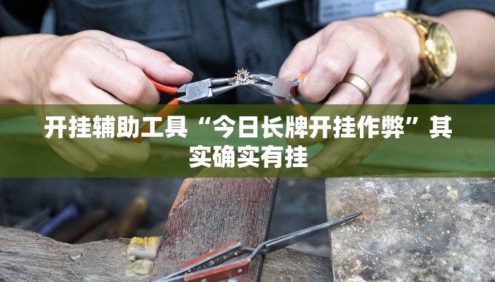 开挂辅助工具“今日长牌开挂作弊”其实确实有挂
