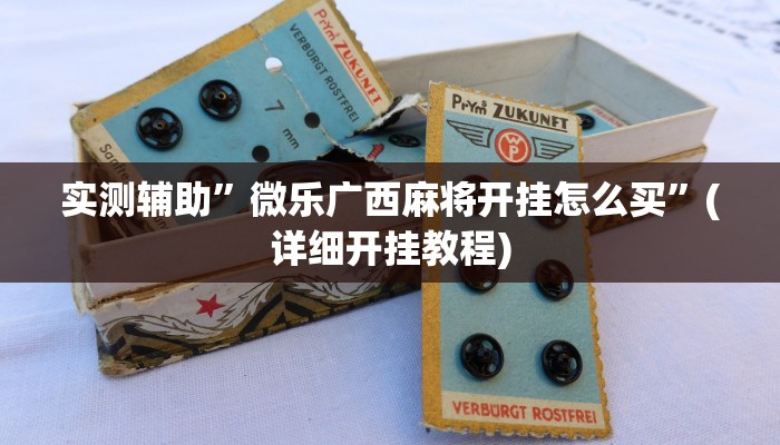 实测辅助”微乐广西麻将开挂怎么买”(详细开挂教程)