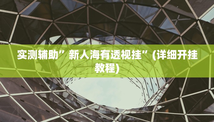 实测辅助”新人海有透视挂”(详细开挂教程)