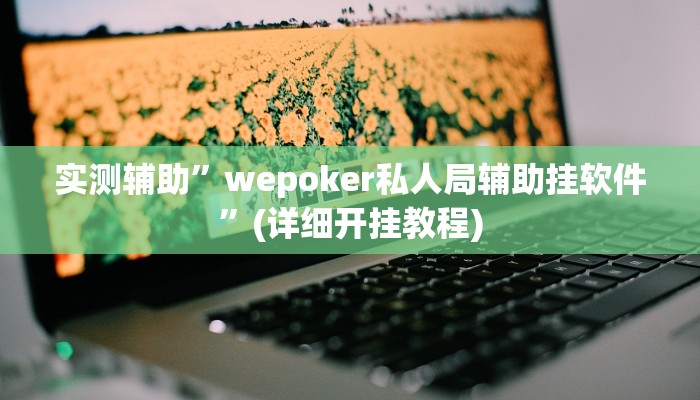 实测辅助”wepoker私人局辅助挂软件”(详细开挂教程)
