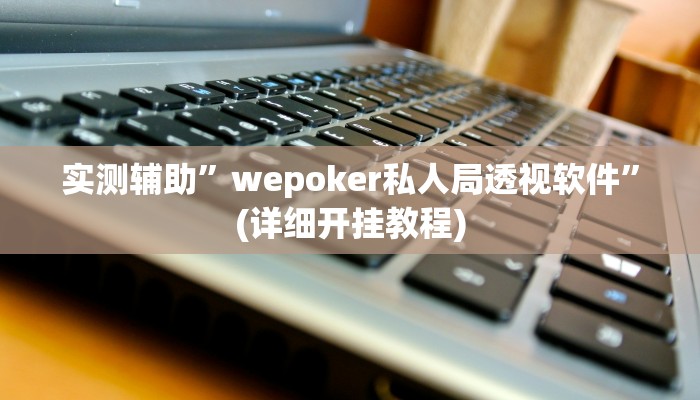 实测辅助”wepoker私人局透视软件”(详细开挂教程)
