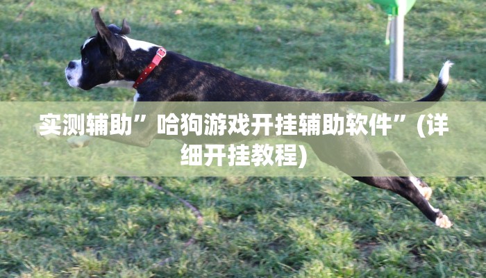 实测辅助”哈狗游戏开挂辅助软件”(详细开挂教程)