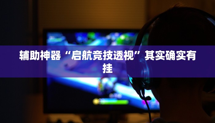 辅助神器“启航竞技透视”其实确实有挂