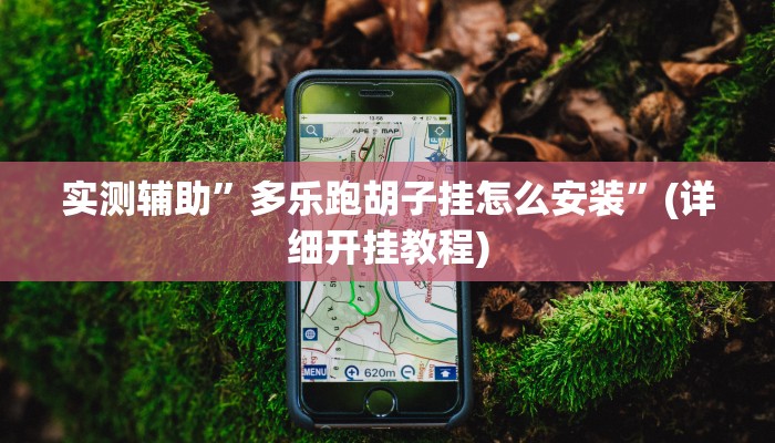 实测辅助”多乐跑胡子挂怎么安装”(详细开挂教程)