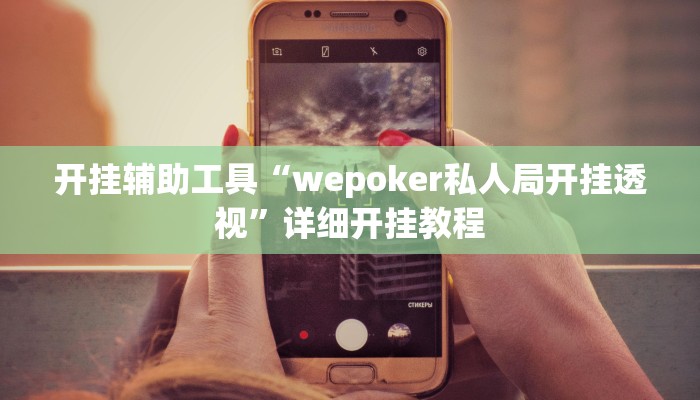 开挂辅助工具“wepoker私人局开挂透视”详细开挂教程