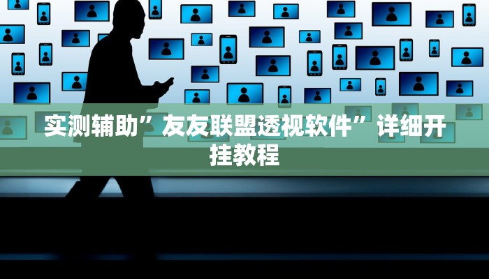 实测辅助”友友联盟透视软件”详细开挂教程