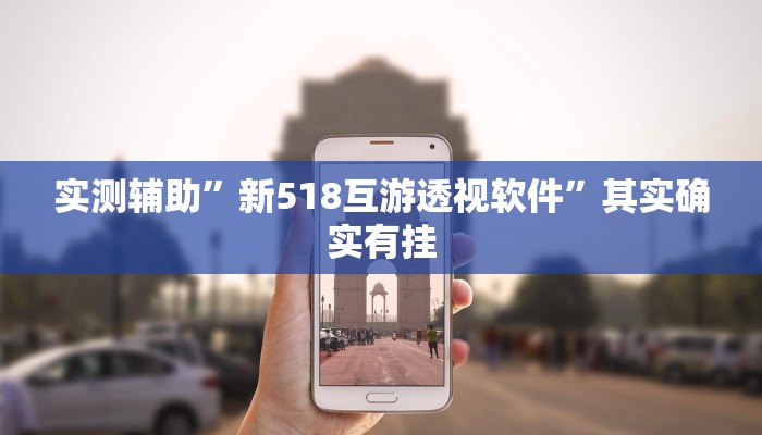 实测辅助”新518互游透视软件”其实确实有挂