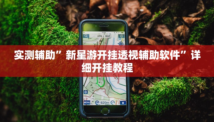 实测辅助”新星游开挂透视辅助软件”详细开挂教程