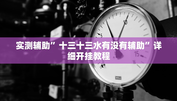 实测辅助”十三十三水有没有辅助”详细开挂教程