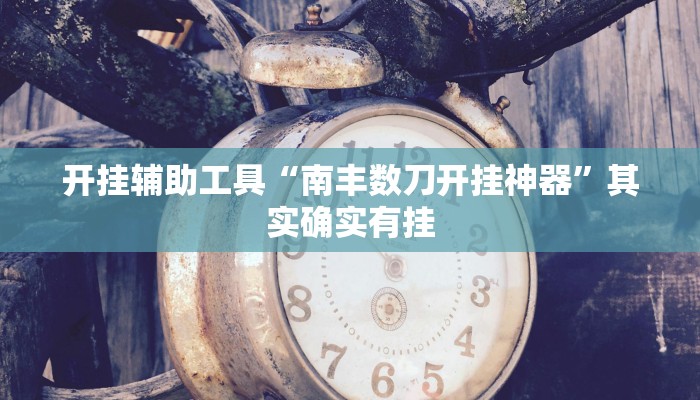 开挂辅助工具“南丰数刀开挂神器”其实确实有挂