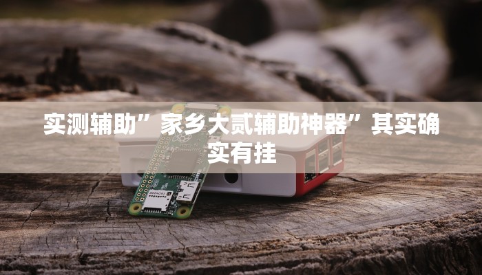 实测辅助”家乡大贰辅助神器”其实确实有挂