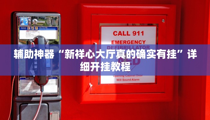 辅助神器“新祥心大厅真的确实有挂”详细开挂教程