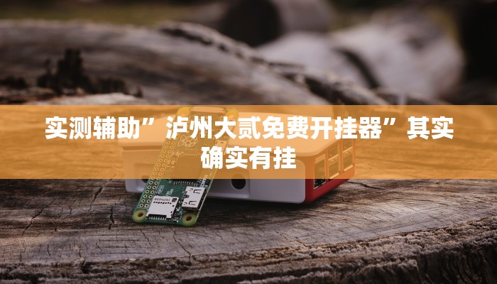 实测辅助”泸州大贰免费开挂器”其实确实有挂