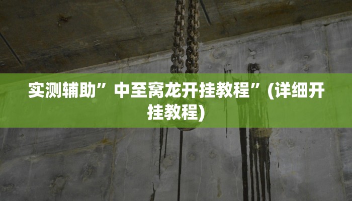 实测辅助”中至窝龙开挂教程”(详细开挂教程)