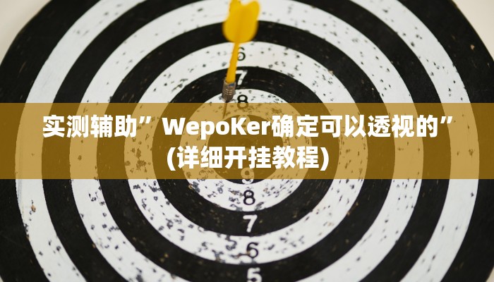 实测辅助”WepoKer确定可以透视的”(详细开挂教程)