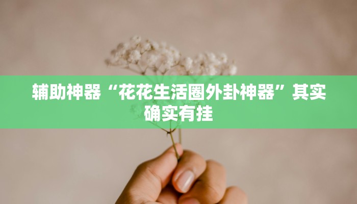 辅助神器“花花生活圈外卦神器”其实确实有挂