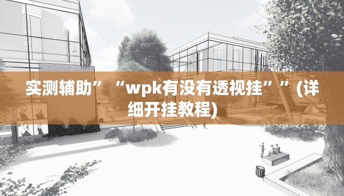 实测辅助”“wpk有没有透视挂””(详细开挂教程)