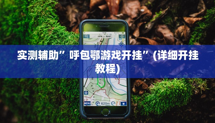 实测辅助”呼包鄂游戏开挂”(详细开挂教程)