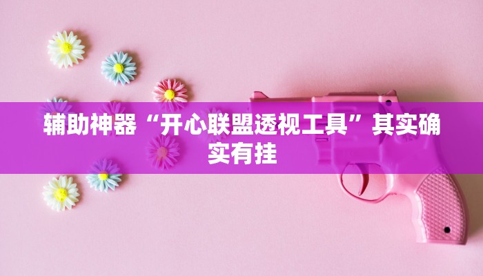 辅助神器“开心联盟透视工具”其实确实有挂