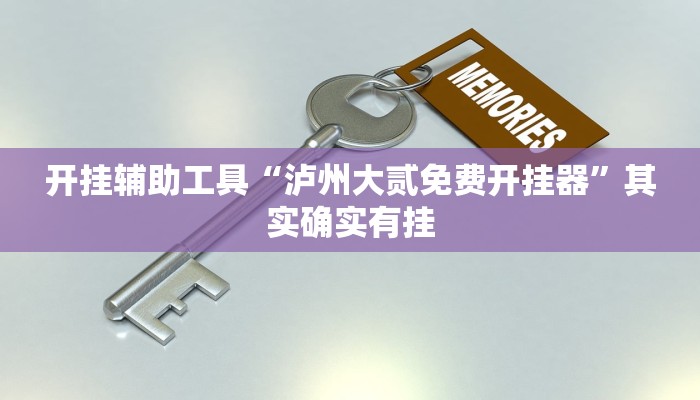 开挂辅助工具“泸州大贰免费开挂器”其实确实有挂