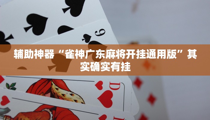 辅助神器“雀神广东麻将开挂通用版”其实确实有挂