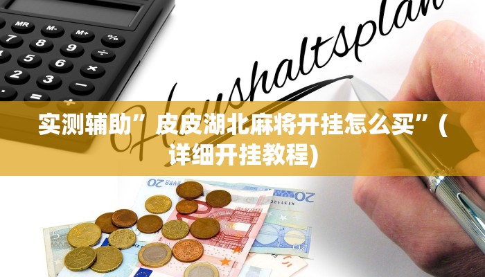 实测辅助”皮皮湖北麻将开挂怎么买”(详细开挂教程)