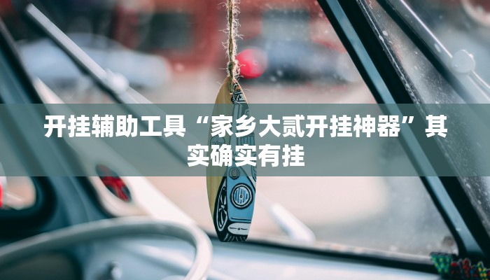 开挂辅助工具“家乡大贰开挂神器”其实确实有挂