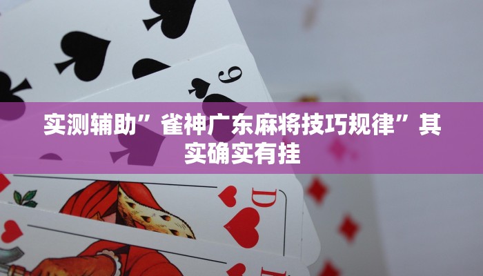 实测辅助”雀神广东麻将技巧规律”其实确实有挂