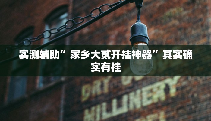 实测辅助”家乡大贰开挂神器”其实确实有挂
