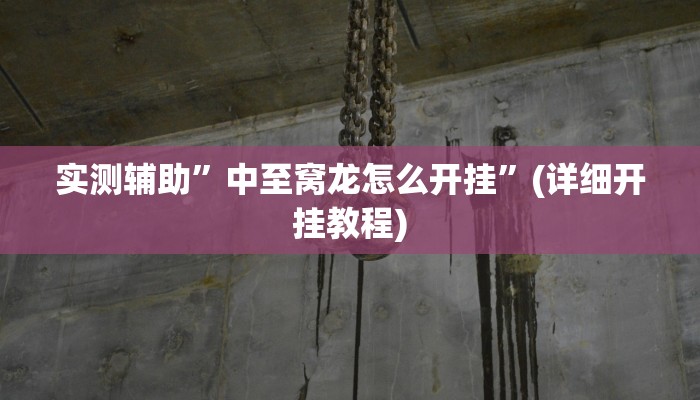 实测辅助”中至窝龙怎么开挂”(详细开挂教程)