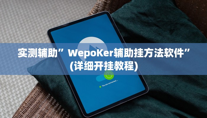 实测辅助”WepoKer辅助挂方法软件”(详细开挂教程)