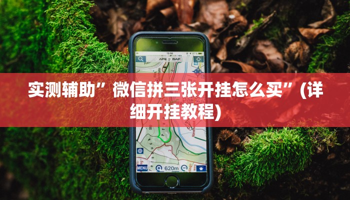 实测辅助”微信拼三张开挂怎么买”(详细开挂教程)