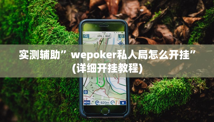 实测辅助”wepoker私人局怎么开挂”(详细开挂教程)