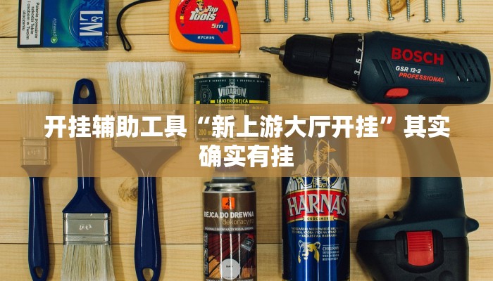 开挂辅助工具“新上游大厅开挂”其实确实有挂