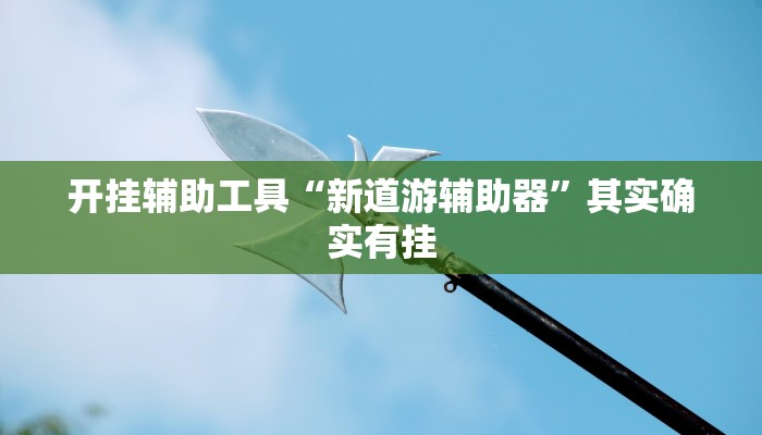 开挂辅助工具“新道游辅助器”其实确实有挂