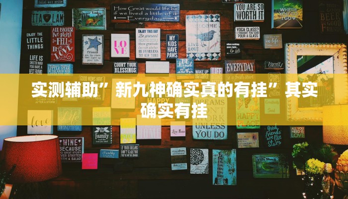 实测辅助”新九神确实真的有挂”其实确实有挂