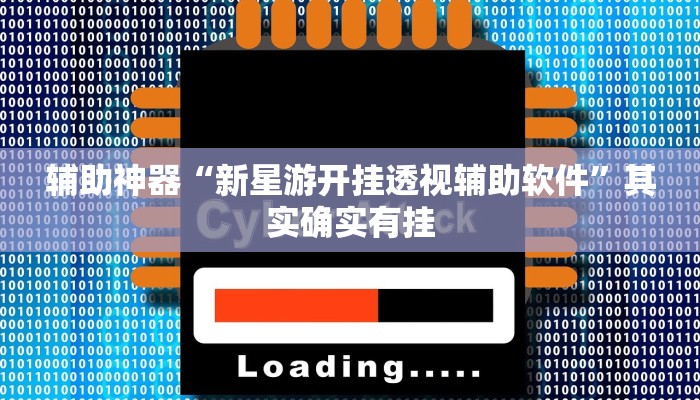 辅助神器“新星游开挂透视辅助软件”其实确实有挂