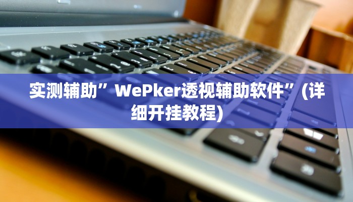 实测辅助”WePker透视辅助软件”(详细开挂教程)