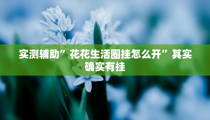 实测辅助”花花生活圈挂怎么开”其实确实有挂