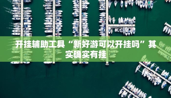 开挂辅助工具“新好游可以开挂吗”其实确实有挂