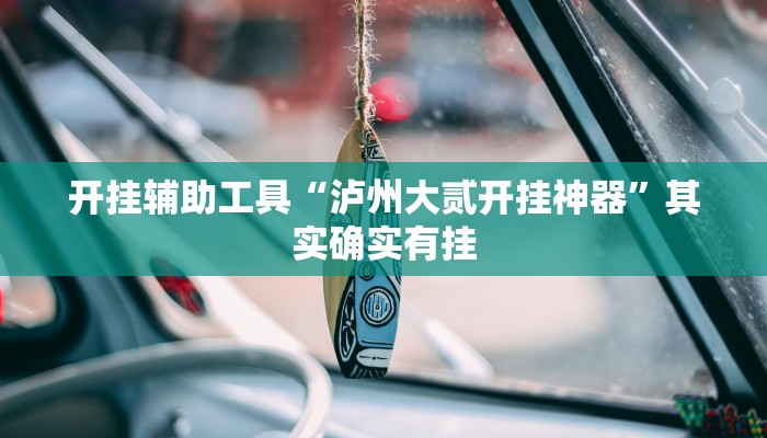 开挂辅助工具“泸州大贰开挂神器”其实确实有挂