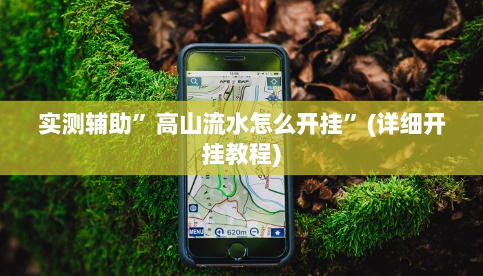 实测辅助”高山流水怎么开挂”(详细开挂教程)