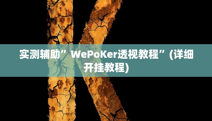 实测辅助”WePoKer透视教程”(详细开挂教程)