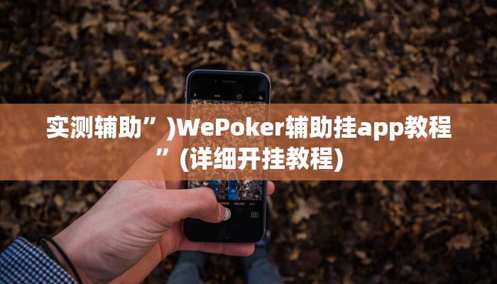 实测辅助”)WePoker辅助挂app教程”(详细开挂教程)
