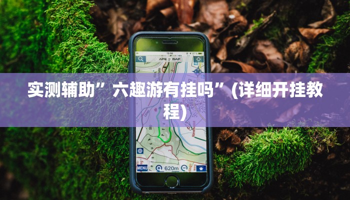 实测辅助”六趣游有挂吗”(详细开挂教程)